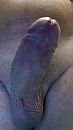 Op de wc, foto 1080x1920, 24 reacties, 45 stemmen