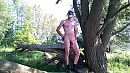 Op een boom op de IG 2, foto 2176x1224, 5 reacties, 44 stemmen