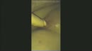 Orgasme compilatie, film 00:00:00, 11 reacties, 79 stemmen