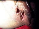 Origineel, foto 2048x1536, 11 reacties, 31 stemmen