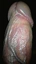 Paalmans Erectus, foto 1311x2319, 1 reacties, 2 stemmen