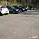 Parkeerplaats, film 00:00:00, 79 reacties, 530 stemmen