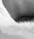 Peekaboo, foto 1782x2046, 18 reacties, 76 stemmen