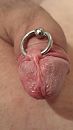 Penis piercing, foto 2250x4000, 13 reacties, 32 stemmen