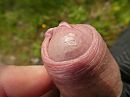 Pikkie uit de broek druppel, foto 4000x3000, 3 reacties, 8 stemmen