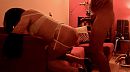 Potente jonge hengst, foto 1019x569, 1 reacties, 10 stemmen