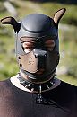 Puppy play 2, foto 1280x1920, 1 reacties, 3 stemmen