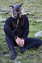 Puppy play 4, foto 1280x1920, 0 reacties, 4 stemmen