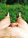 Puur, foto 456x608, 4 reacties, 5 stemmen