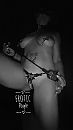 Queen or Mistress of the night, foto 1094x1936, 11 reacties, 78 stemmen