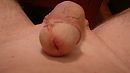 Relaxed, foto 3549x1997, 0 reacties, 5 stemmen
