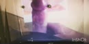 Rijk archief, film 00:00:00, 2 reacties, 18 stemmen