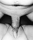 Sappig kutje :), foto 884x1036, 4 reacties, 17 stemmen