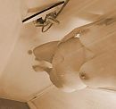 Shower Time, foto 731x691, 30 reacties, 204 stemmen