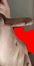 Showertimee, foto 1296x2448, 0 reacties, 5 stemmen