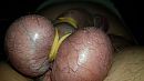 Showing balls, foto 4000x2250, 2 reacties, 4 stemmen
