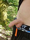 Slapjes in het bos, foto 3000x4000, 2 reacties, 17 stemmen