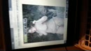 So ein Spass, film 00:00:23, 0 reacties, 6 stemmen