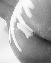 Sorry.., foto 1557x1931, 11 reacties, 60 stemmen