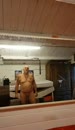 Speelruimte in ons bos, film 00:00:00, 5 reacties, 51 stemmen