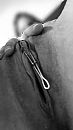 Spelen met.., foto 884x1571, 10 reacties, 85 stemmen