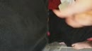 Spuiten, film 00:00:00, 4 reacties, 26 stemmen