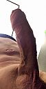 Stijfjes, foto 665x1278, 1 reacties, 5 stemmen