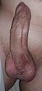 Stoppels, foto 800x1675, 0 reacties, 1 stemmen