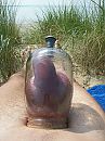 Strandballen, foto 576x768, 6 reacties, 20 stemmen