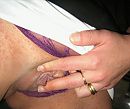 Stuur wel een foto, foto 909x768, 6 reacties, 43 stemmen