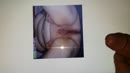 Sweebee, film 00:00:27, 1 reacties, 0 stemmen