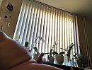 Uit bed, op de bank, foto 2934x2240, 0 reacties, 2 stemmen