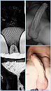 Vanavond trio, foto 2172x3862, 16 reacties, 76 stemmen