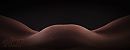 Venus..., foto 1400x545, 5 reacties, 29 stemmen