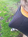 Verrassing, foto 2976x3968, 2 reacties, 8 stemmen