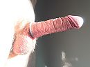 Voor het eerst met een cock, foto 2576x1932, 2 reacties, 3 stemmen