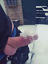 Vriendin wou toch nog 1, foto 3000x4000, 5 reacties, 20 stemmen