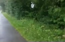 Wandeling langs het kanaal..., film 00:00:00, 14 reacties, 32 stemmen