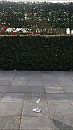 Wat is dit nu weer?, foto 800x1422, 30 reacties, 138 stemmen