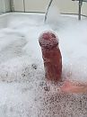 Wat komt daar vantussen, foto 3000x4000, 1 reacties, 2 stemmen
