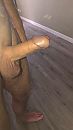 Welke dame...., foto 540x960, 7 reacties, 13 stemmen