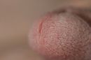 Wie wil er met, foto 4000x2666, 1 reacties, 3 stemmen