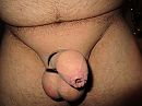 Wie wil hem, foto 4000x3000, 8 reacties, 27 stemmen