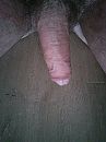 Wie wil?, foto 1944x2592, 1 reacties, 7 stemmen