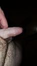 Wie wil, foto 2250x4000, 4 reacties, 5 stemmen
