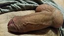 Wie wilt hem, foto 4000x2250, 16 reacties, 25 stemmen