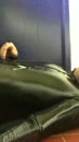 Zaad op latex, film 00:00:02, 2 reacties, 14 stemmen