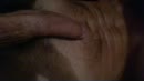 Zin....., film 00:00:24, 7 reacties, 15 stemmen