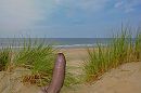 Zomer mag weer beginnen hoor!, foto 3587x2380, 7 reacties, 18 stemmen