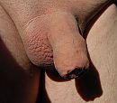 Zon :), foto 2711x2400, 0 reacties, 2 stemmen